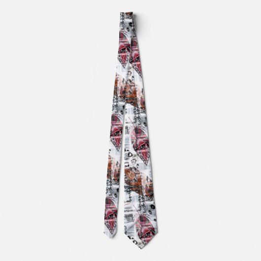 Cravate Plumes, ethniques, boho. (Dos)