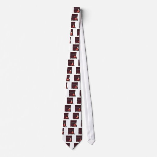 Cravate PlungerInBriefcase051411 (Devant)
