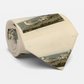 Cravate Pluvier siffleur des oiseaux d'Amérique d'Audubon (Roulé)