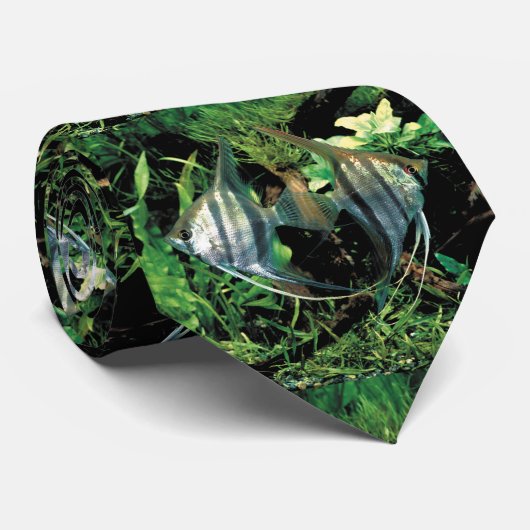 Cravate poisson-ange 2 (Roulé)