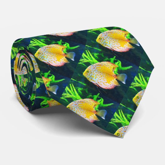 Cravate Poisson Discus (Roulé)