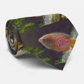 Cravate Poisson nain Gourami (Roulé)