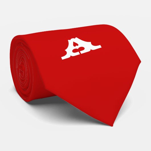 Cravate Polska Pride (Roulé)