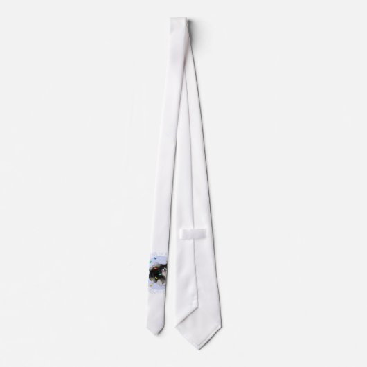 Cravate Poméranie avec papillons (Dos)