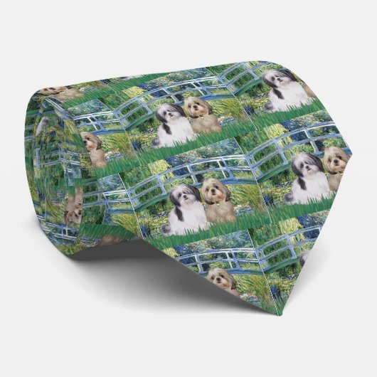 Cravate Pont - Shih Tzu (deux - A+Y) (Roulé)