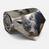 Cravate Porc du Bornéo (Roulé)