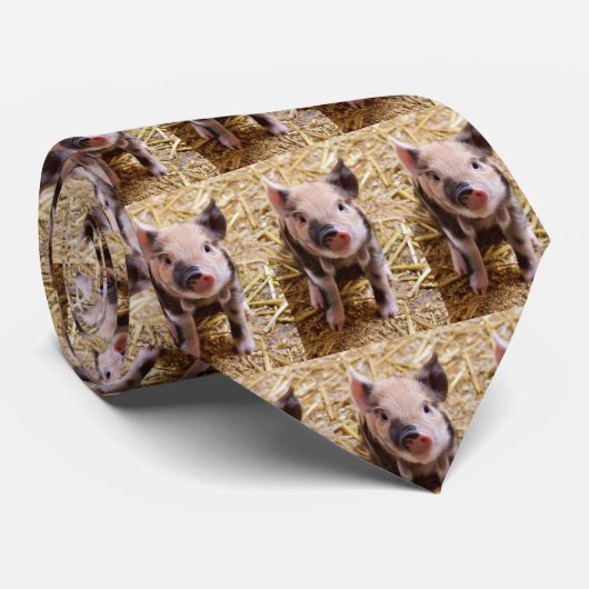 Cravate Porcelet (Roulé)