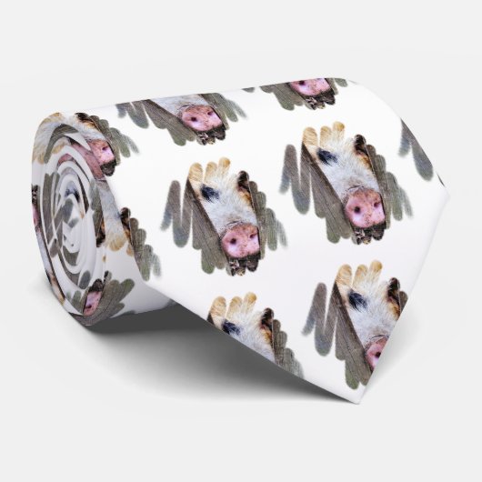CRAVATE PORCS (Roulé)
