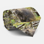 Cravate Porcupine déterminé (Roulé)