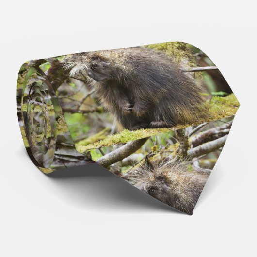 Cravate Porcupine déterminé (Roulé)