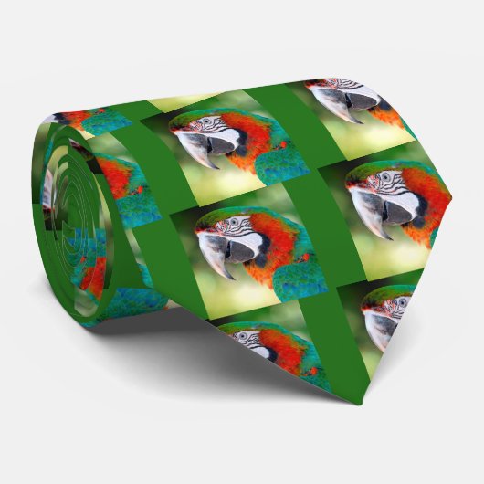 Cravate Portrait de Macaw (Roulé)