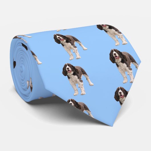 Cravate Position de springer spaniel (Roulé)