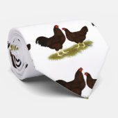 Cravate Poules Buckeye (Roulé)