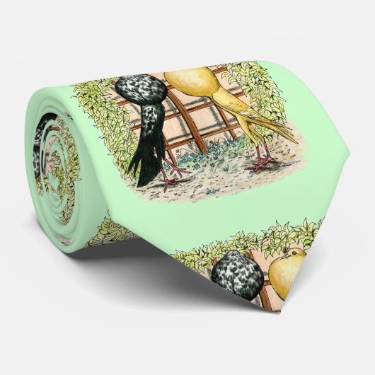 Cravate Pouter : Brunner (Roulé)