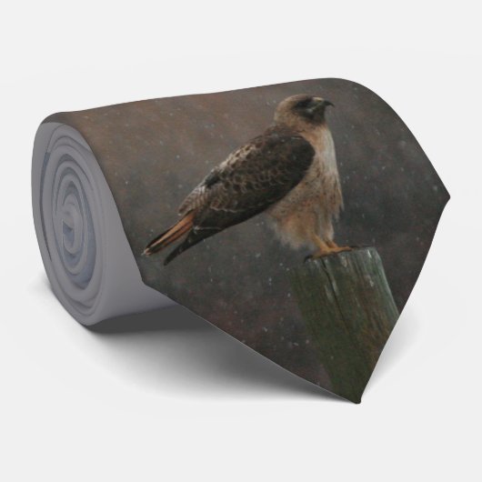 Cravate Préparé à décollez (Roulé)