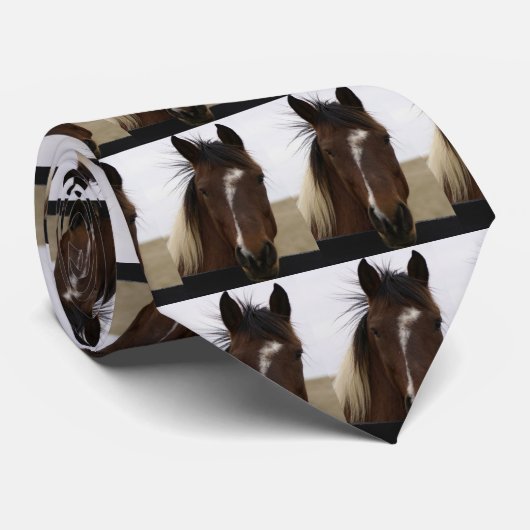 Cravate Princesse Brown d'oeil (Roulé)