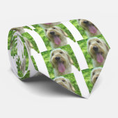 Cravate Produits de Goldendoodle (Roulé)