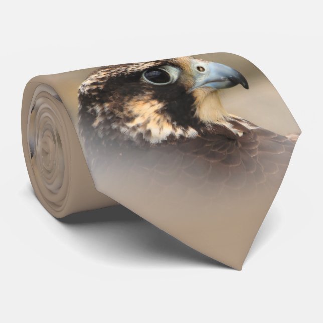 Cravate Profil de Vignetted d'un faucon pérégrin (Roulé)