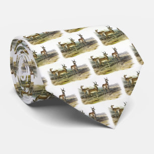 Cravate Pronghorn (Antelope à cornes longues) par Audubon