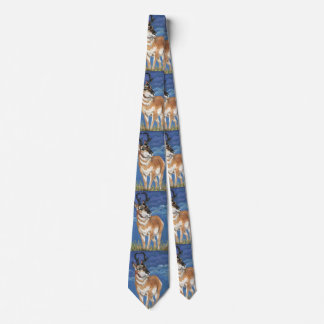 Cravate Pronghorn Antelope Observation Storm Faune Art