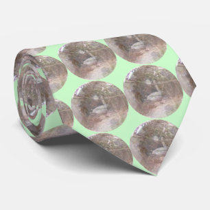 Cravate prophétie du cygne