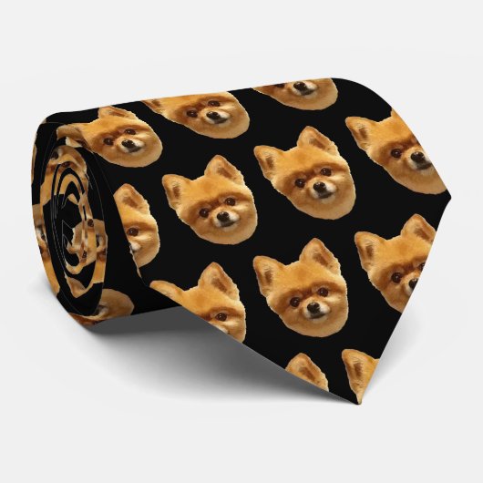 Cravate Puffy Pomeranian (Roulé)