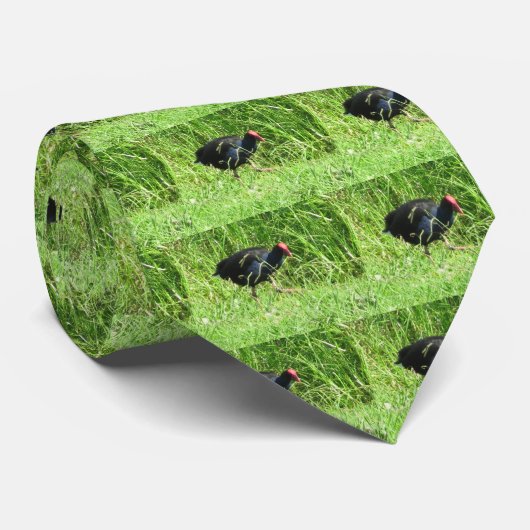 Cravate Pukeko (Roulé)