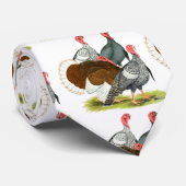 Cravate Quartet de Turquie rare (Roulé)