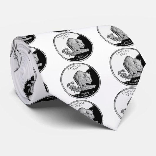 Cravate Quartier d'État de Faux Kansas (Roulé)