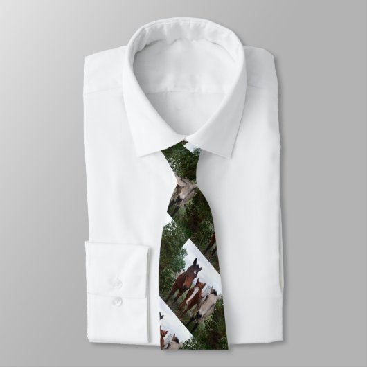 Cravate Quatre Corses, (Attaché)