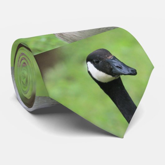 Cravate Quoi ? (Roulé)