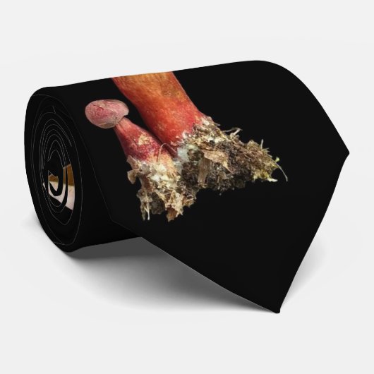 Cravate rare de champignon avec le boletus (Roulé)