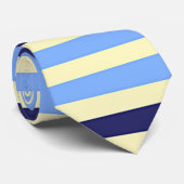 CRAVATE RAYÉES BLEU NAVY ET BLEU CIEL (Roulé)