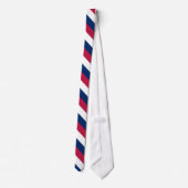 Cravate Rayures diagonales blanches et bleues rouges (Dos)