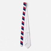 Cravate Rayures diagonales blanches et bleues rouges (Dos)