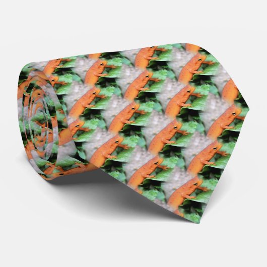Cravate Red Eft Orange Salamander Motif naturel (Roulé)
