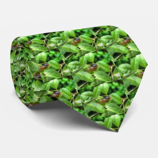 Cravate Red Eyed Cicada (Roulé)