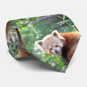 Cravate Red_Panda_2015_0306 (Roulé)