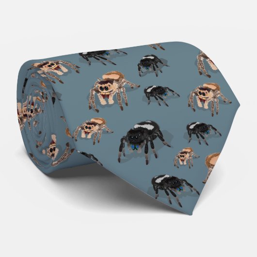 Cravate Regal Jumping Spider Phiddipus Regius Slate (Roulé)