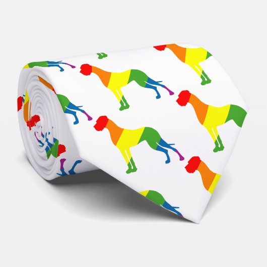 Cravate Regenbogen Krawatte (Roulé)