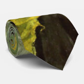 Cravate Reine maorie 1902 (Roulé)