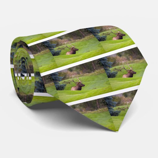 Cravate Repose d'Elk (Roulé)
