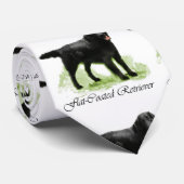 Cravate Retriever à revêtement plat (Roulé)