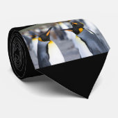 Cravate Roi Pingouin (Roulé)