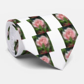 Cravate Rose (Roulé)