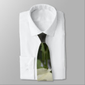 Cravate Rose blanc (Attaché)