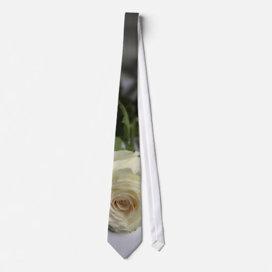 Cravate Rose blanc (Devant)