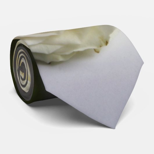 Cravate Rose blanc (Roulé)