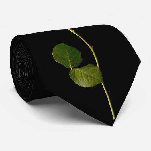 Cravate Rose blanc simple sur un arrière - plan noir (Roulé)