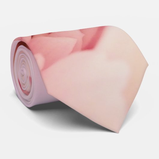 Cravate rose et blanc Dahlia (Roulé)